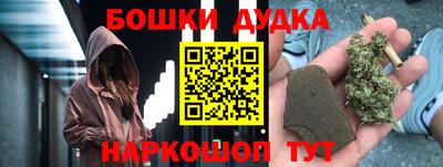 МДПВ Обь