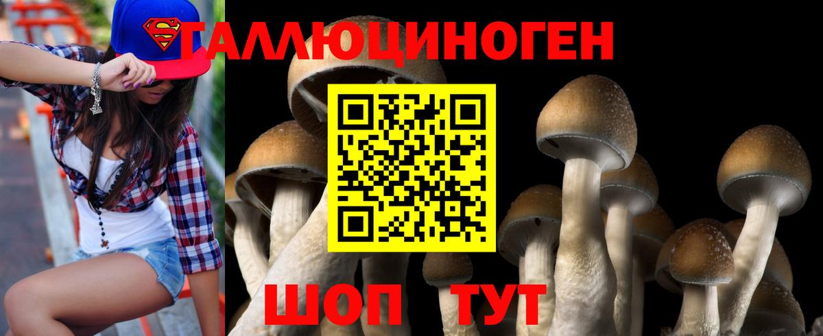 Бор  Псилоцибиновые грибы Magic Shrooms  Вход с VPN 