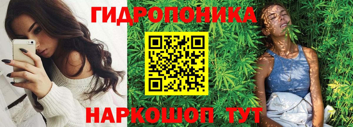 МАРИХУАНА конопля Бор